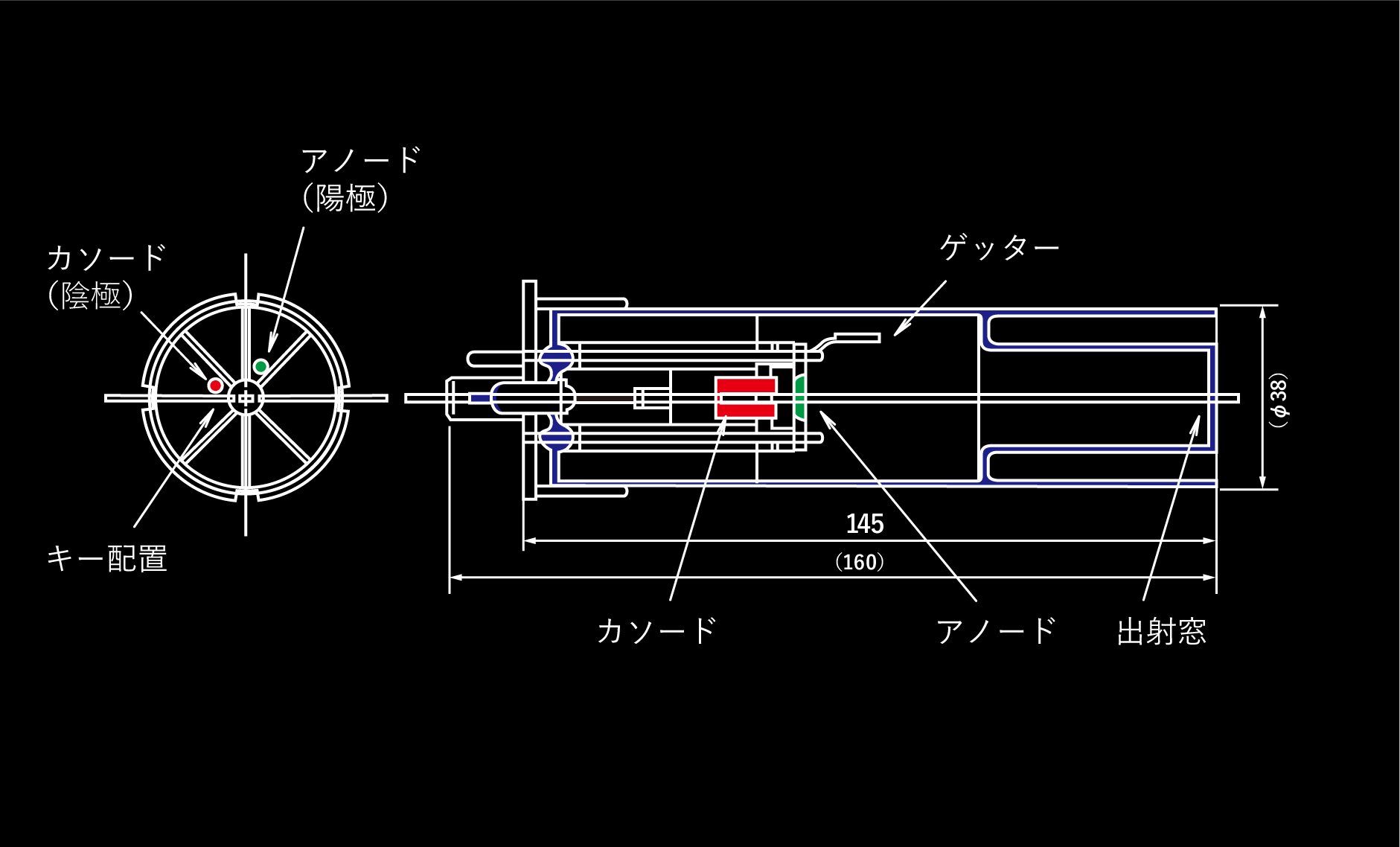 電極構造・外観